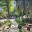 1 Bedroom Apartment for sale in Cozumel, Quintana Roo, Cozumel, Quintana Roo