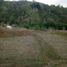  Land for sale in Ilocos, Naguilian, La Union, Ilocos