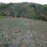  Land for sale in Ilocos, Naguilian, La Union, Ilocos