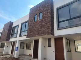 Appartement 3 chambre à vendre à Zapopan, Jalisco, Zapopan