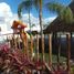 3 Schlafzimmer Haus zu verkaufen in Cozumel, Quintana Roo, Cozumel