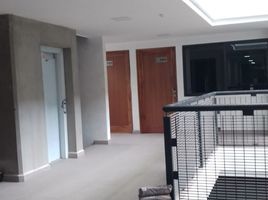 1 Habitación Apartamento en alquiler en Miguel Hidalgo, Ciudad de México, Miguel Hidalgo