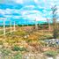  Land for sale in Apodaca, Nuevo Leon, Apodaca