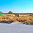  Land for sale in Apodaca, Nuevo Leon, Apodaca