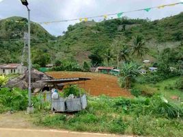  Terrain for sale in Dalaguete, Cebu, Dalaguete