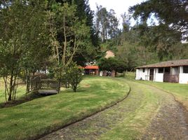 3 Habitación Casa en alquiler en Pifo, Quito, Pifo