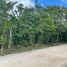  Land for sale in Cancun, Quintana Roo, Cancun, Quintana Roo