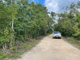 Land for sale in Cancun, Quintana Roo, Cancun, Quintana Roo