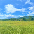  Terreno (Parcela) en venta en Tagaytay City, Calabarzon, Tagaytay City, Cavite, Calabarzon