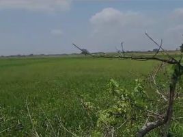  Land for sale in Samborondon, Guayas, Samborondon, Samborondon