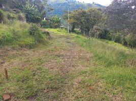  Terreno (Parcela) en venta en Medellín, Antioquia, Medellín, Antioquia