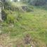  Terreno (Parcela) en venta en Medellín, Antioquia, Medellín, Antioquia