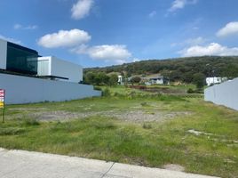  Land for sale in Zapopan, Jalisco, Zapopan, Jalisco