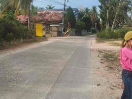  Land for sale in Dauis, Bohol, Dauis