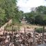  Land for sale in Hocaba, Yucatan, Hocaba