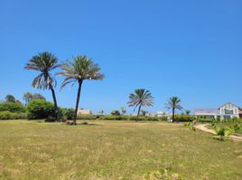  Terreno (Parcela) en venta en Chincha, Ica, El Carmen, Chincha