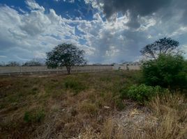  Grundstück zu verkaufen in Tixpehual, Yucatan, Tixpehual