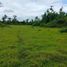  Land for sale in Sagbayan, Central Visayas, Sagbayan