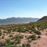  Grundstück zu verkaufen in Mulege, Baja California Sur, Mulege