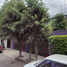 3 chambre Villa for sale in Alvaro Obregon, Mexico City, Alvaro Obregon