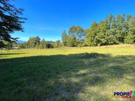  Terreno (Parcela) en venta en Universidad de la Frontera Campus Pucón, Pucón, Pucón