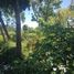  Terreno (Parcela) en venta en Lapu-Lapu City, Central Visayas, Lapu-Lapu City, Cebu, Central Visayas, Filipinas
