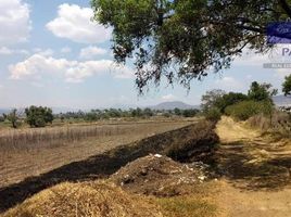  Grundstück zu verkaufen in Morelia, Michoacan, Morelia