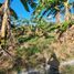  Land for sale in General Trias City, Calabarzon, General Trias City