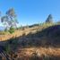  Terreno (Parcela) en venta en Biobío, Tome, Concepción, Biobío