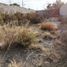  Terreno (Parcela) en venta en San Agustin Tlaxiaca, Hidalgo, San Agustin Tlaxiaca