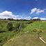  Land for sale in Guarne, Antioquia, Guarne