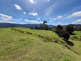  Land for sale in Guarne, Antioquia, Guarne