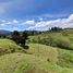  Land for sale in Guarne, Antioquia, Guarne