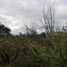  Land for sale in Montalvo, Ambato, Montalvo