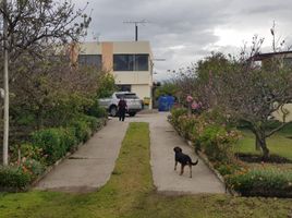  Terrain for sale in Tungurahua, Montalvo, Ambato, Tungurahua