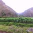  Terrain for sale in Cusco, Calca, Calca, Cusco