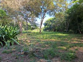  Terreno (Parcela) en venta en Nilo, Cundinamarca, Nilo