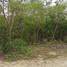  Grundstück zu verkaufen in Kanasin, Yucatan, Kanasin