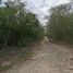  Land for sale in Kanasin, Yucatan, Kanasin