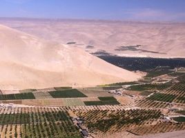  Land for sale in Chile, Arica, Arica, Arica Y Parinacota, Chile