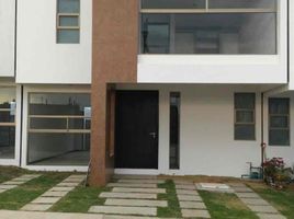 3 Habitación Villa en alquiler en San Agustin Tlaxiaca, Hidalgo, San Agustin Tlaxiaca, Hidalgo