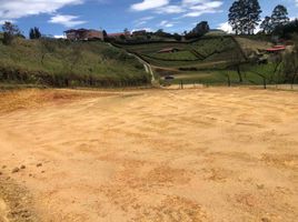  Terreno (Parcela) en venta en Guarne, Antioquia, Guarne