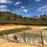  Terreno (Parcela) en venta en Guarne, Antioquia, Guarne