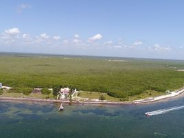  Terrain for sale in Quintana Roo, Puerto Morelos, Quintana Roo