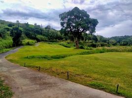  Land for sale in Rizal, Calabarzon, Antipolo City, Rizal