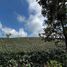  Villa for sale in Filandia, Quindio, Filandia