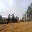  Land for sale in Alangasi, Pichincha, Alangasi, Quito