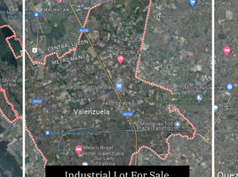  Land for sale in Northern District, Metro Manila, Valenzuela City, Northern District