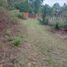  Land for sale in Patzcuaro, Michoacan, Patzcuaro