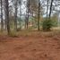  Land for sale in Patzcuaro, Michoacan, Patzcuaro